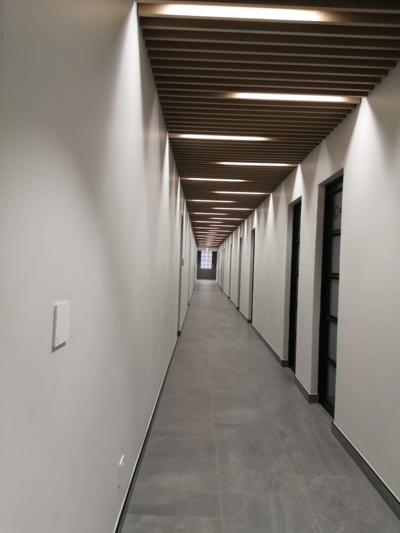 Office corridor lit by linear LED lights set into a slatted timber ceiling